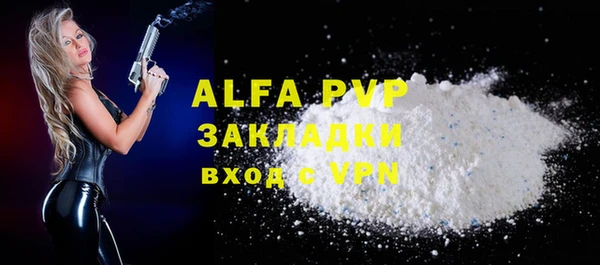 индика Горнозаводск