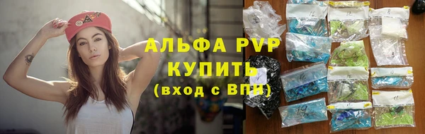 индика Горнозаводск