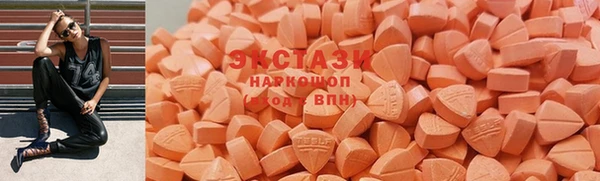 индика Горнозаводск