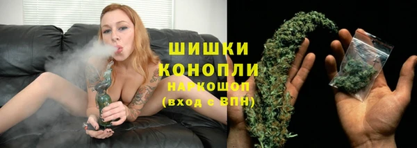 индика Горнозаводск