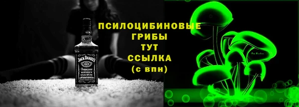 эйфоретик Горняк
