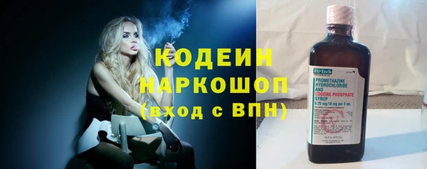 индика Горнозаводск