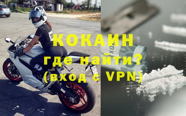 индика Горнозаводск