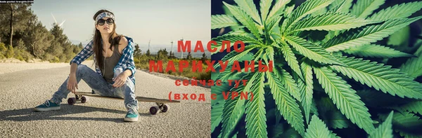 индика Горнозаводск