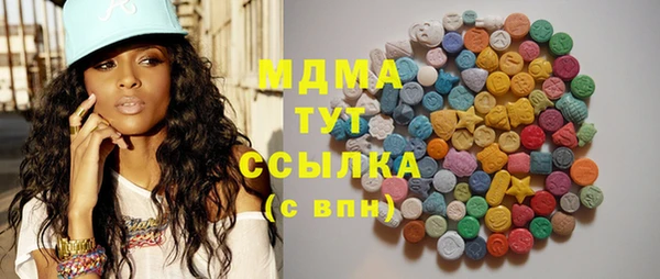 индика Горнозаводск