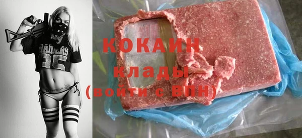 индика Горнозаводск